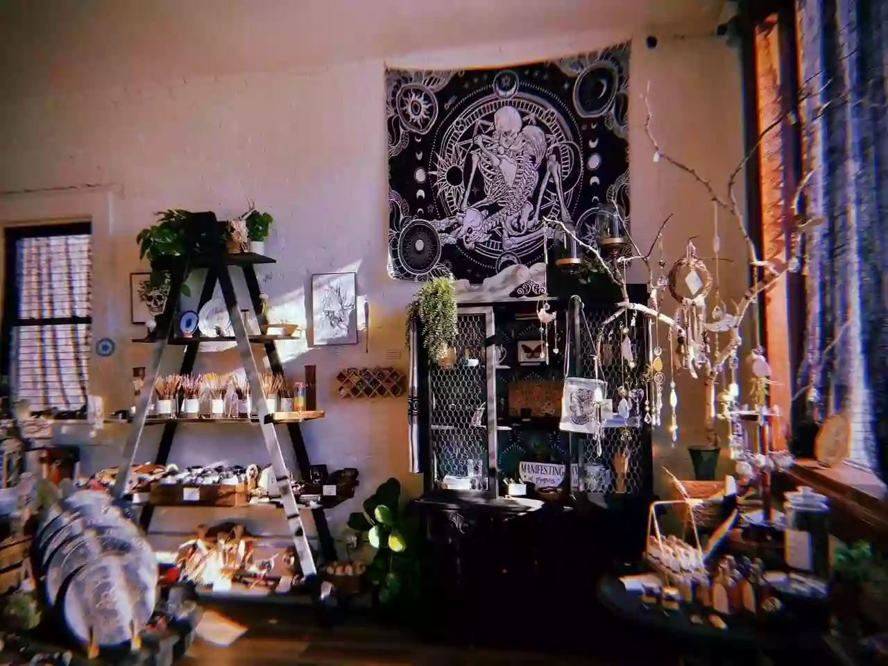 The Apotheca The Apotheca