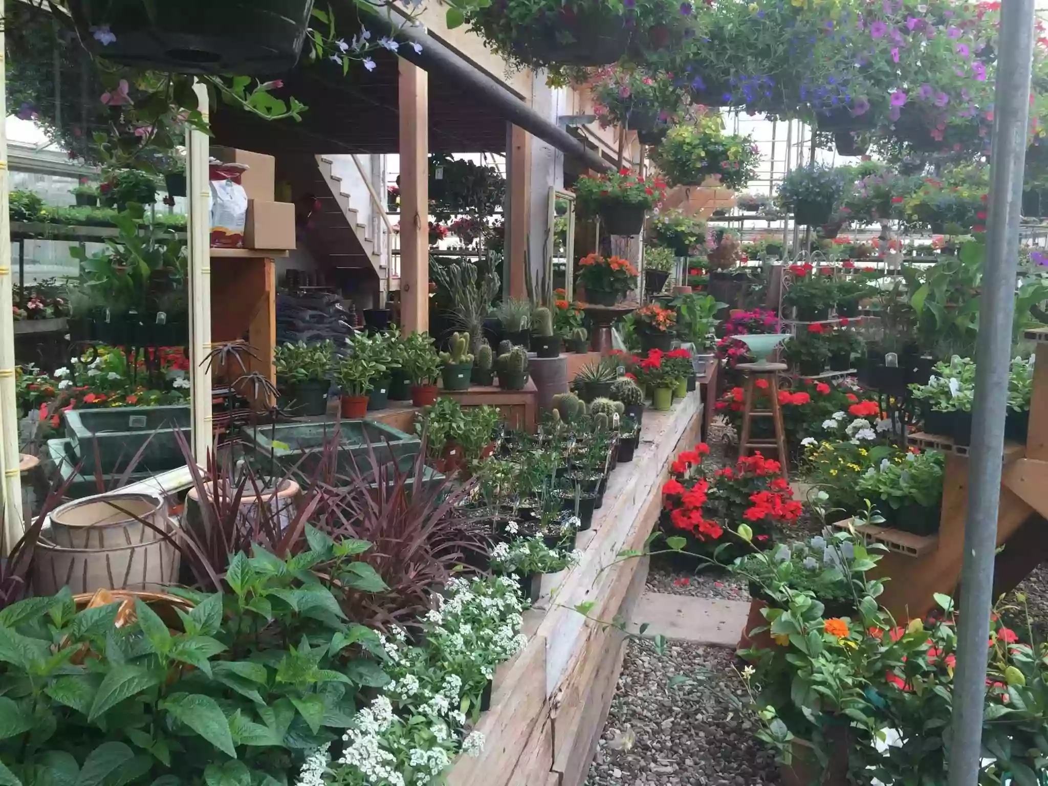 Kellner Greenhouse Kellner Greenhouse
