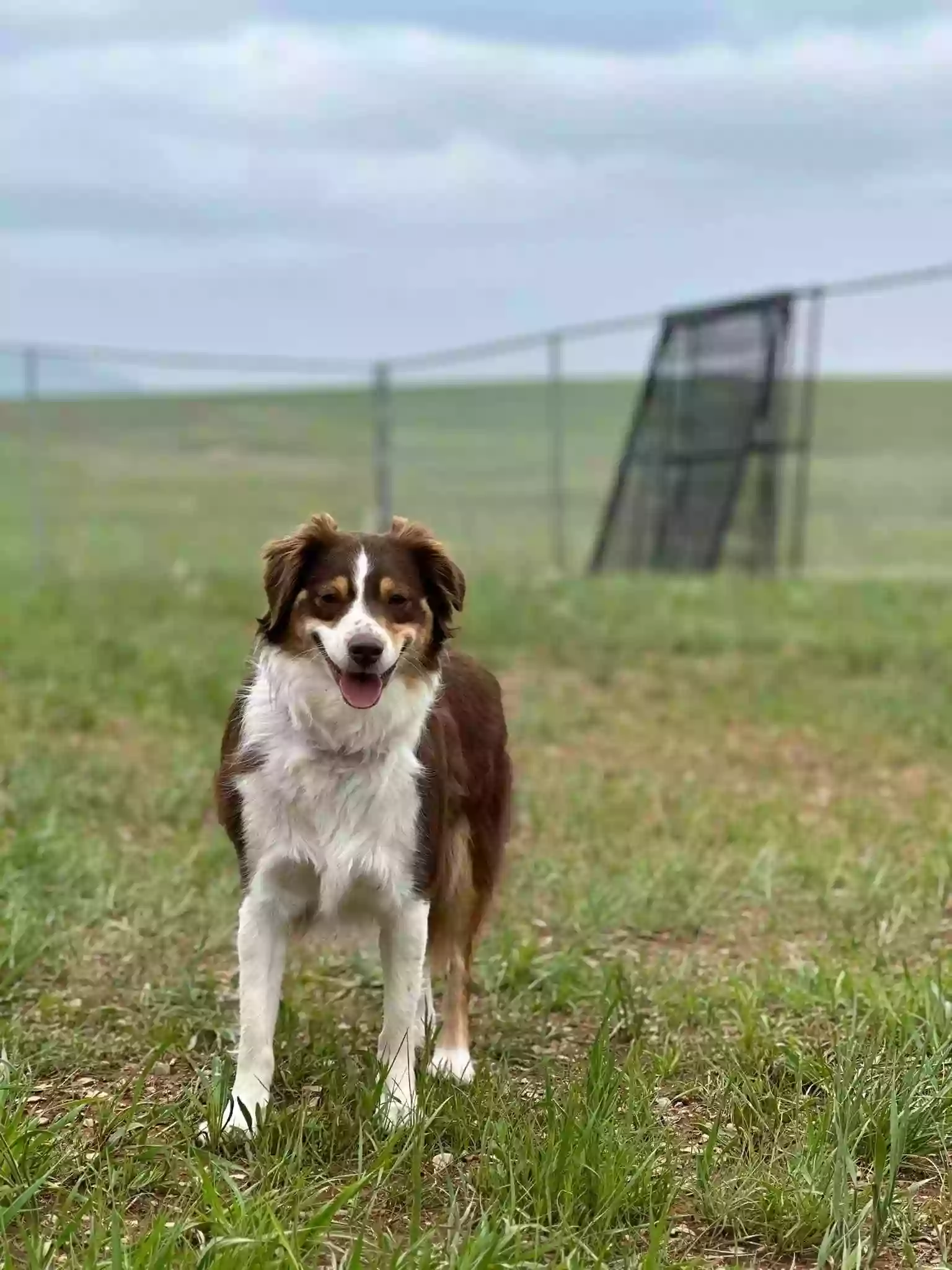 Coyote Kennels Coyote Kennels