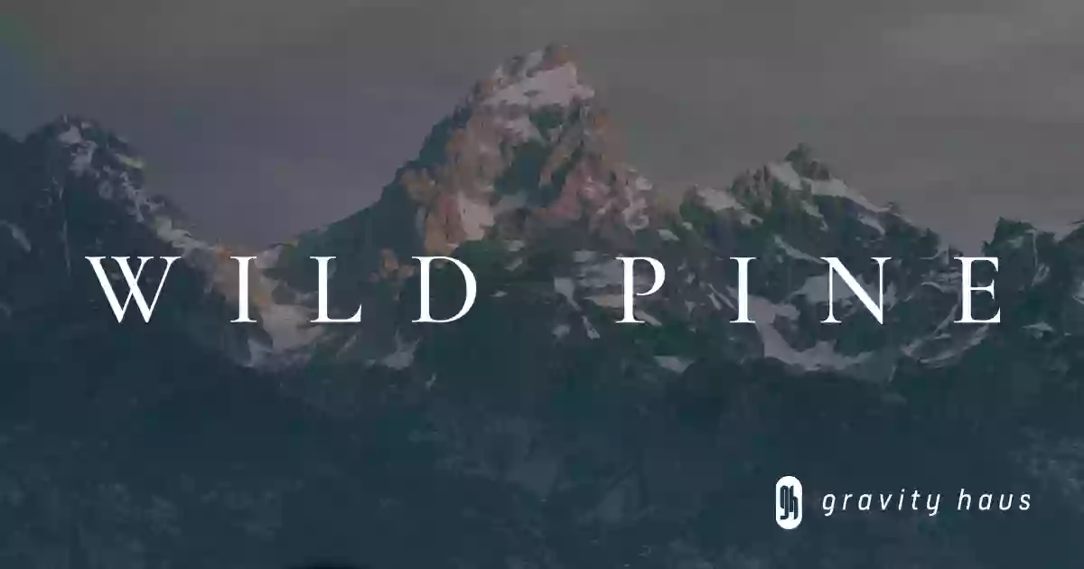 Wild Pine Wild Pine