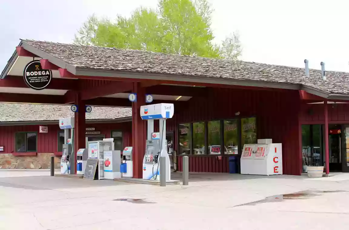 Bodega Bodega