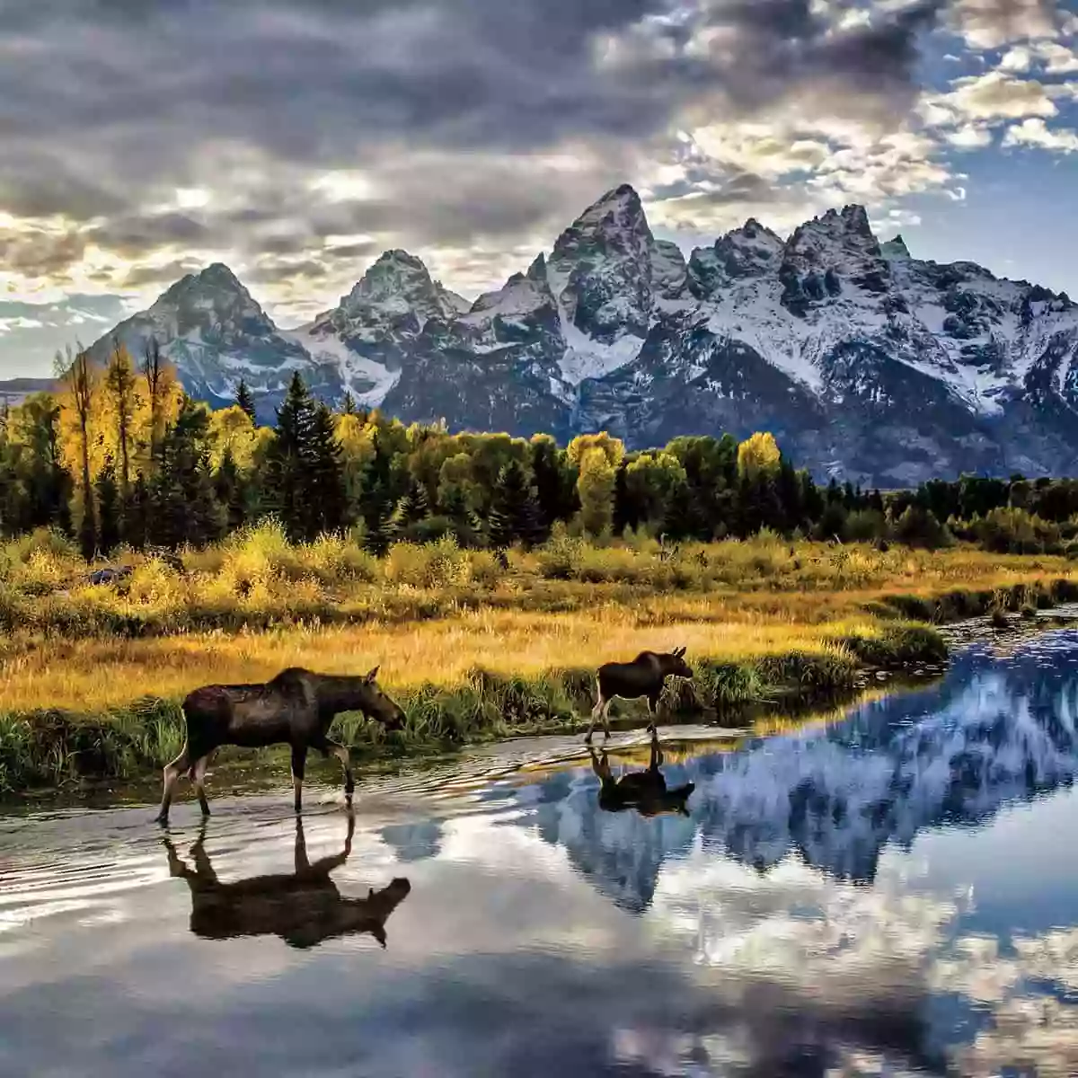 Backcountry Safaris Backcountry Safaris